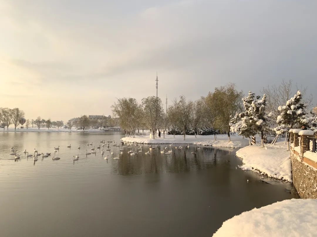 爱莲湾初雪降临 | 与您分享纯白色的极致浪漫(图11) 爱莲湾初雪降临 | 与您分享纯白色的极致浪漫(图11)