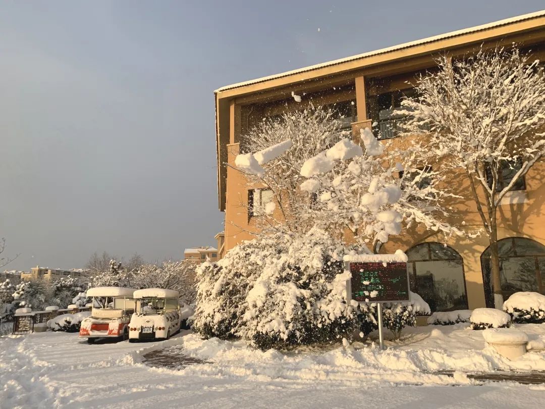 爱莲湾初雪降临 | 与您分享纯白色的极致浪漫(图12) 爱莲湾初雪降临 | 与您分享纯白色的极致浪漫(图12)