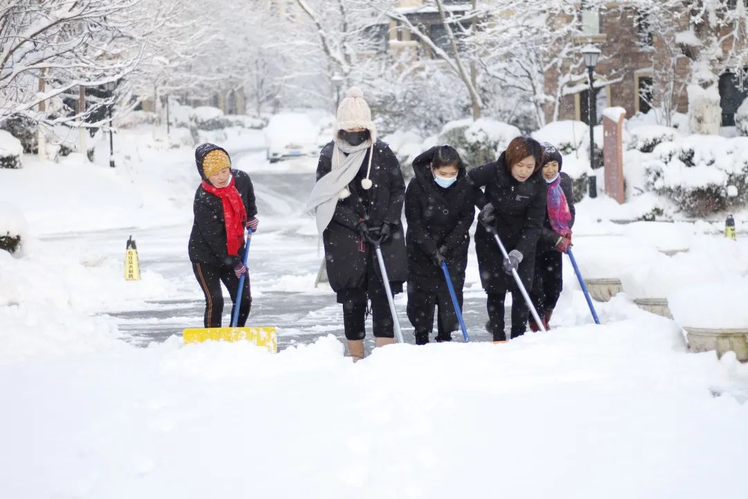 爱莲湾初雪降临 | 与您分享纯白色的极致浪漫(图14) 爱莲湾初雪降临 | 与您分享纯白色的极致浪漫(图14)